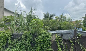 Dam 1f08ae2c Mbm29268 50 13